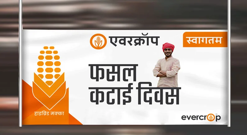 evercrop-banner-branding1