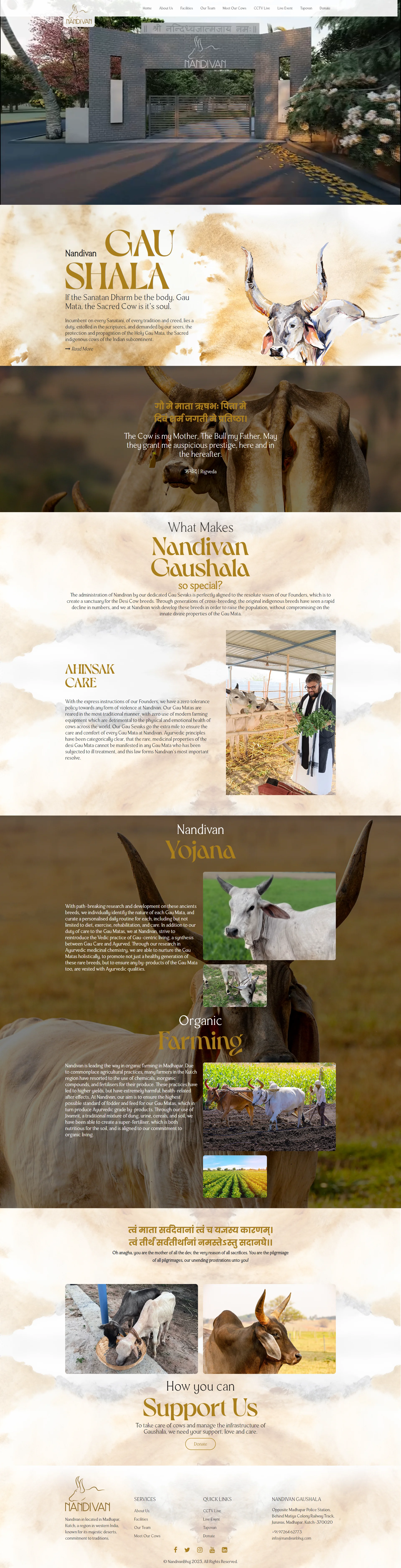 nandivan-website-development