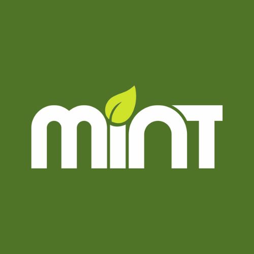 mint logo design