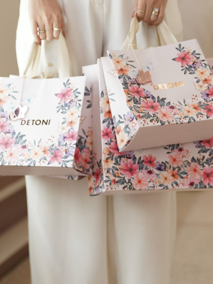 Conclusion-carry-bag-design