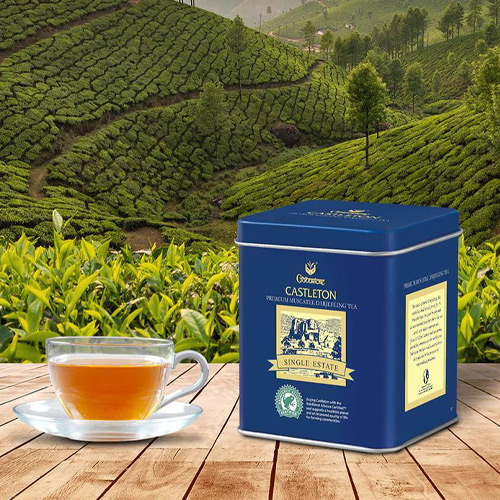 Darjeeling-tea-packaging-inspired-by-tea-garden