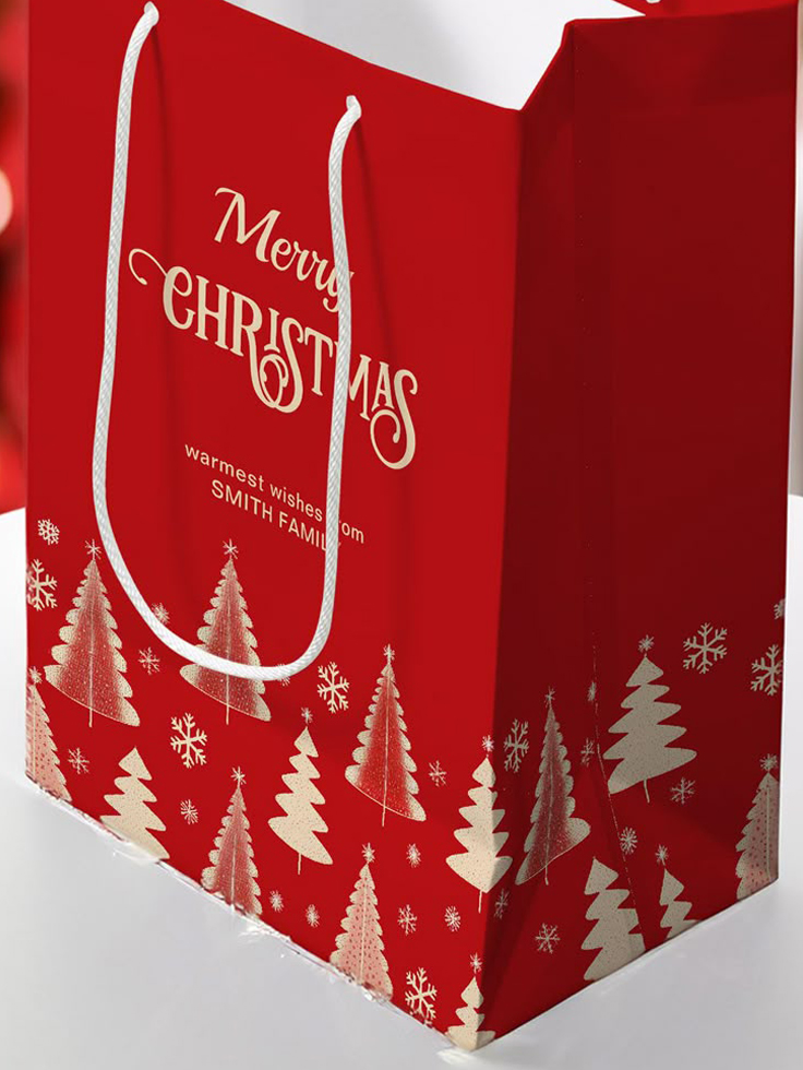 Limited-Edition-Seasonal-Carry-Bags