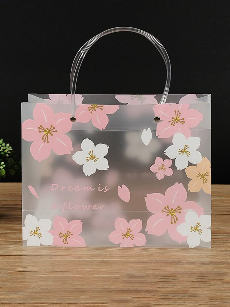 Transparent-Semi-Transparent-Bags