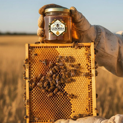 Transparent honey packaging with beehive