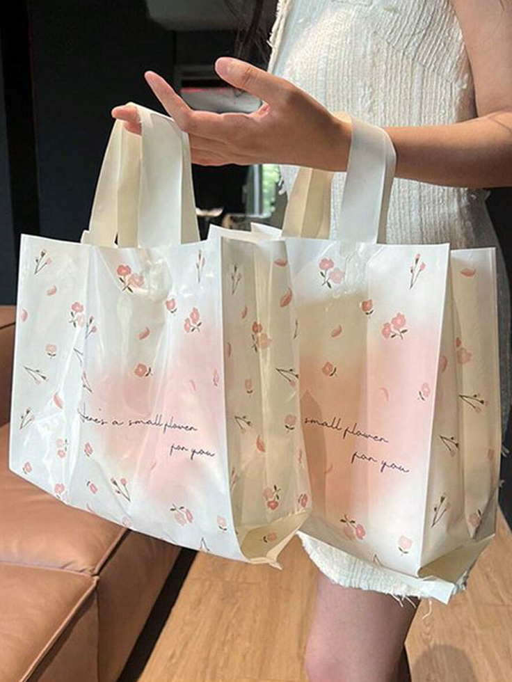 Transparent-or-Semi-Transparent-Bags