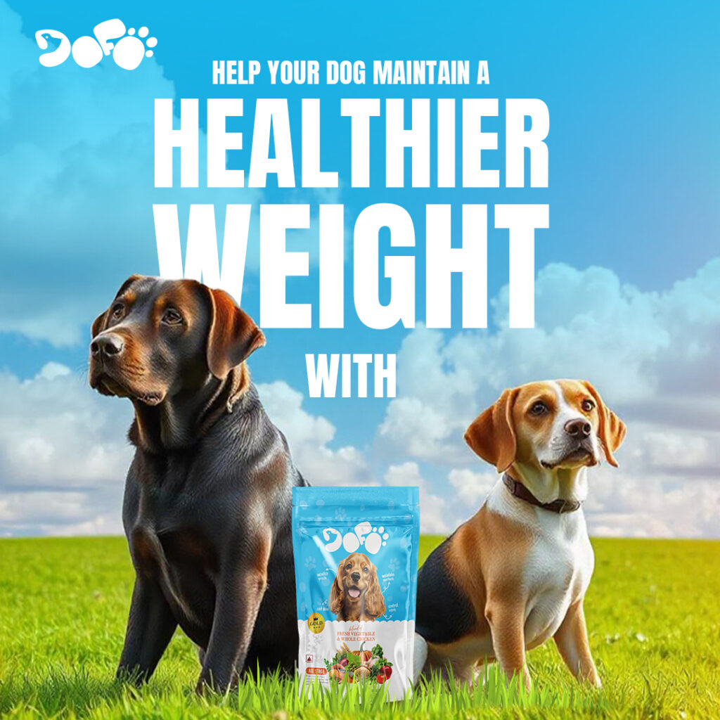 Pet food social media brand post
