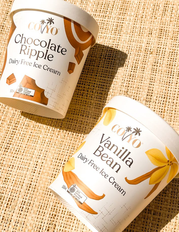 Premium disposable ice cream cups