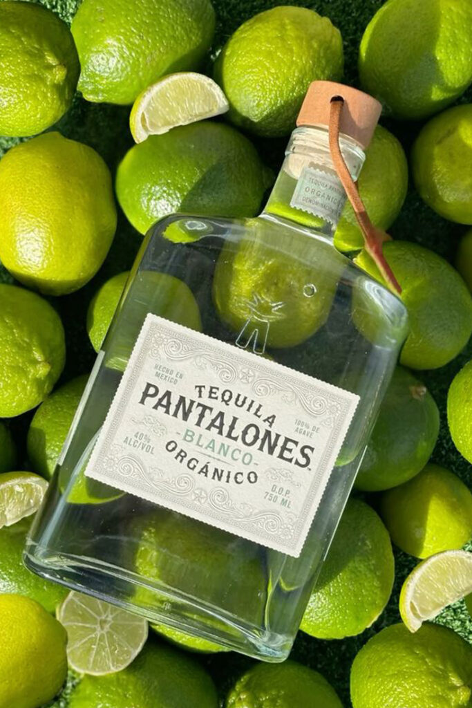 Premium label design concepts for luxury liquor packaging