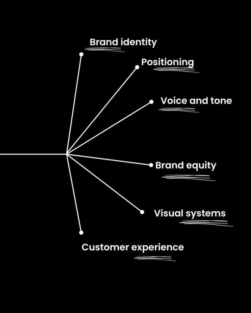 Brand identity elements including logo colors and typography
