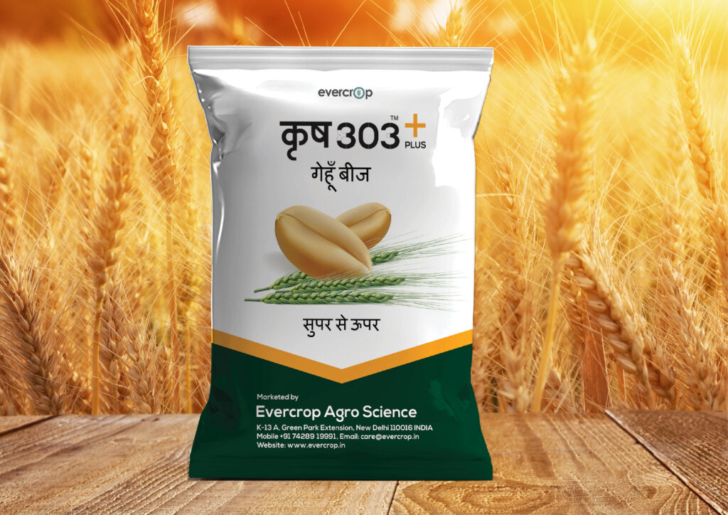 Eco-friendly pouch packaging for sustainable businesses