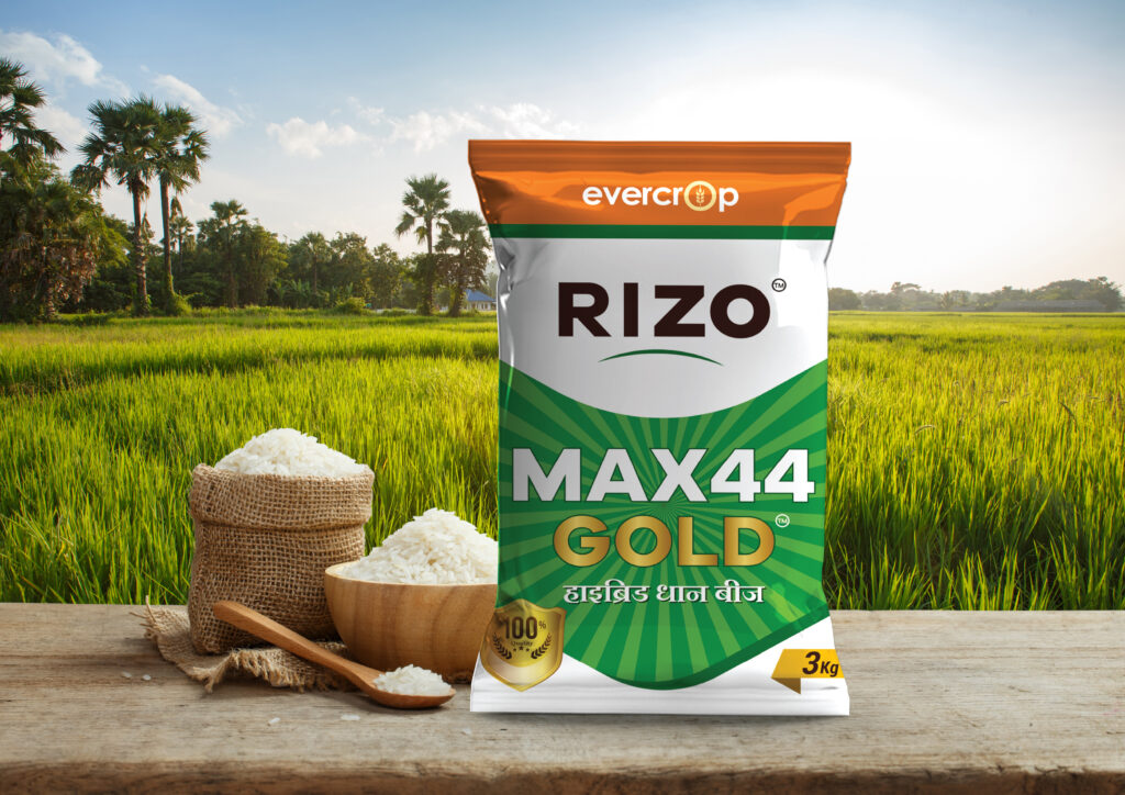 Flexible pouch packaging design for retail brands