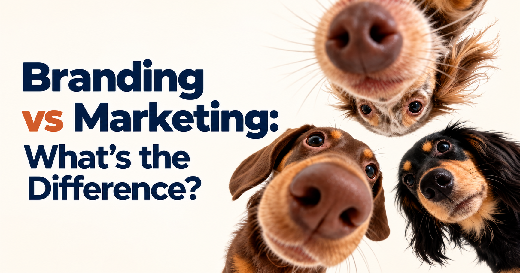 Branding vs Marketing: What is the Difference and Which One Do You Need?